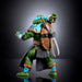 Stealth Ninja Leonardo Masters of the Universe: Origins Turtles of Grayskull Pop - O - Loco