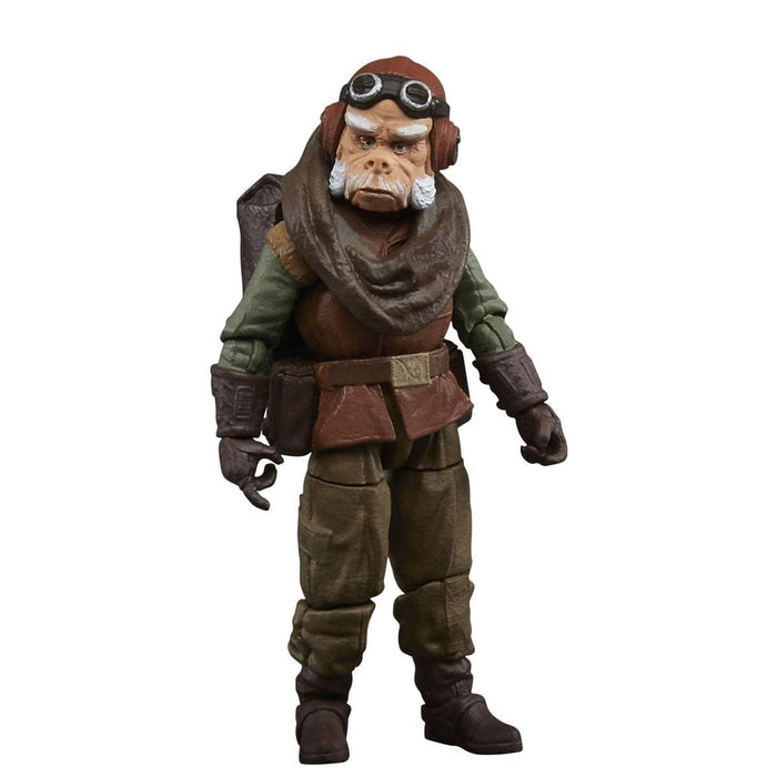 Star Wars Kuiil The Vintage Collection 3 3/4" scale figure Pop-O-Loco